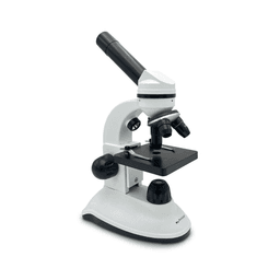 Microscopes